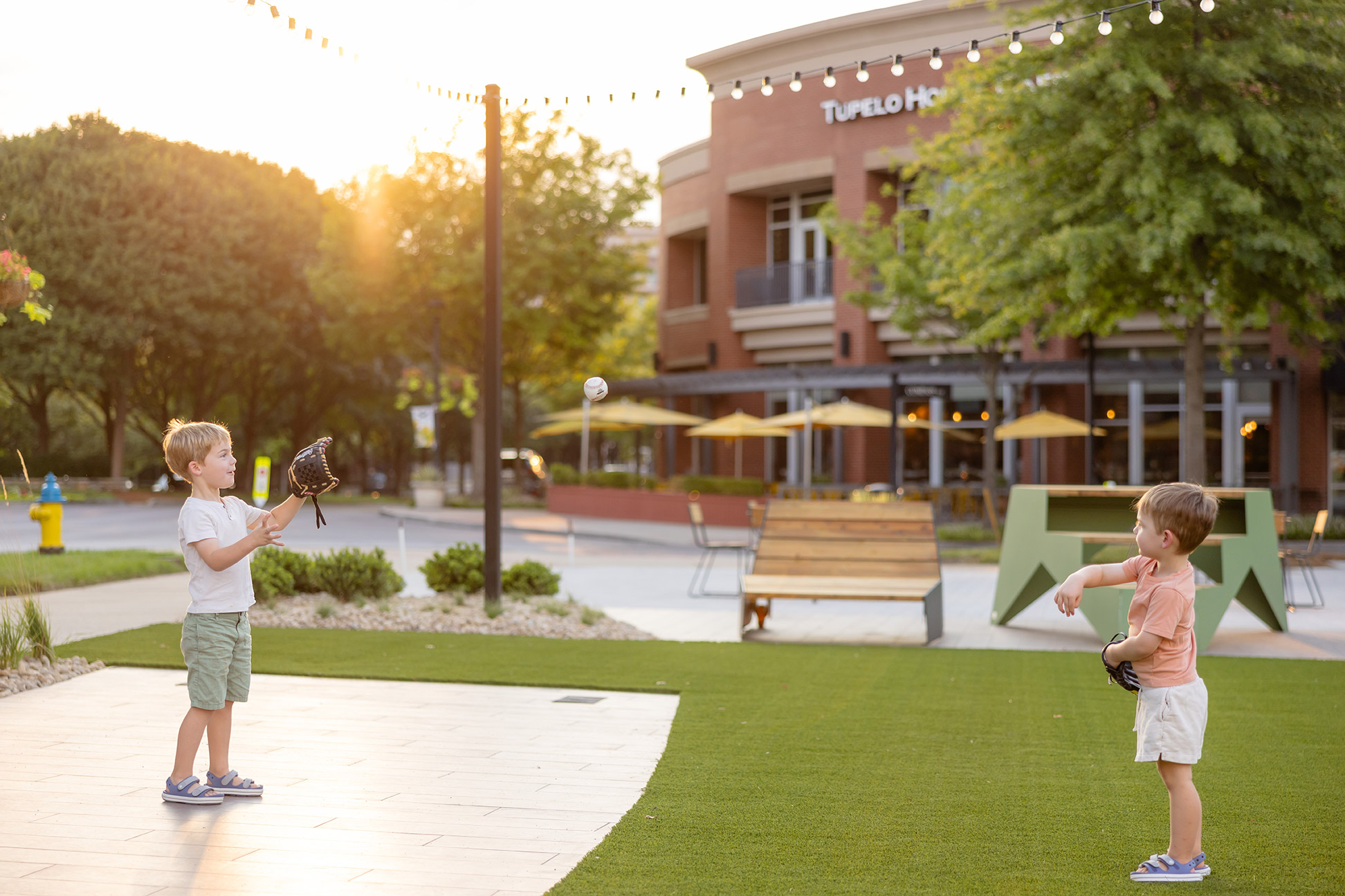 FB512 B Meridian Video Content 233